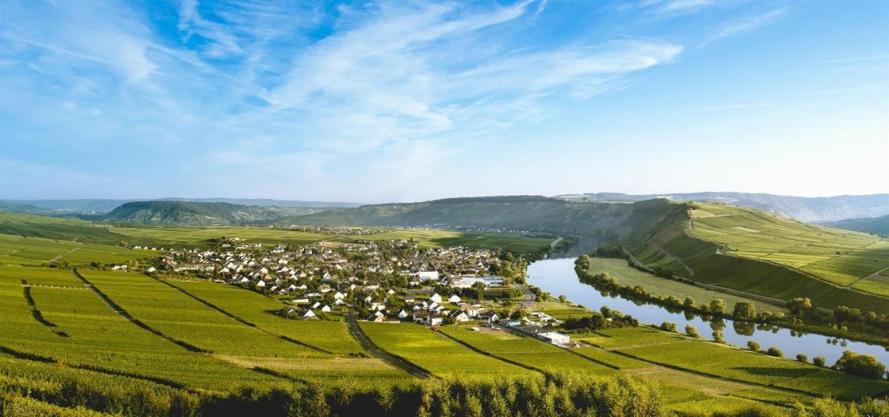 Ferienweingut Ulrike Thul Apartment Leiwen Luaran gambar