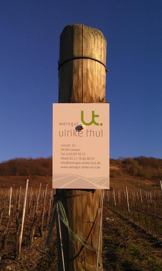 Ferienweingut Ulrike Thul Apartment Leiwen Luaran gambar